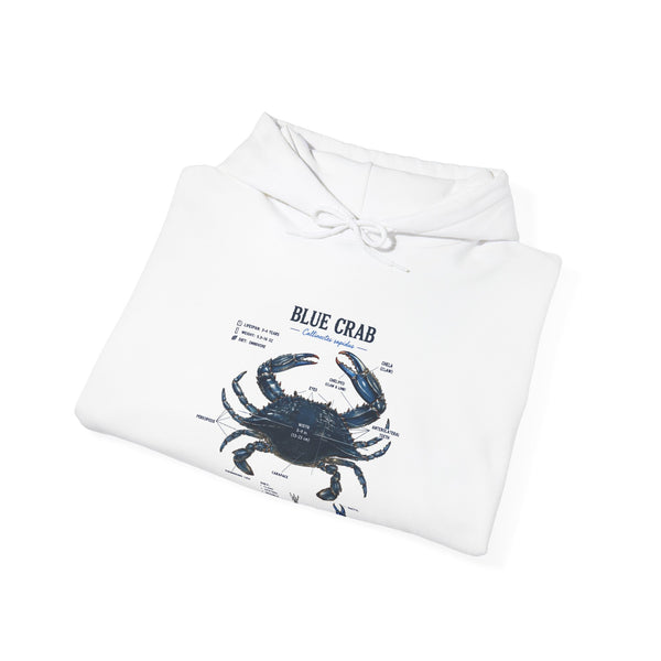 Blue Crab Anatomy Hoodie — Nautical Marine Biology Graphic Sweatshirt