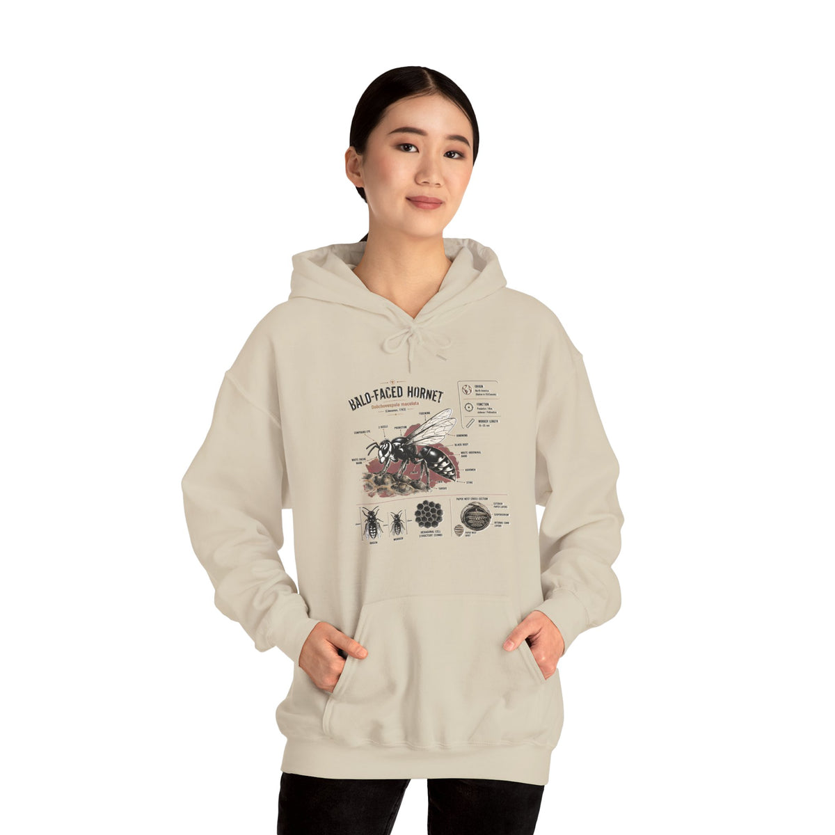 Bee Anatomy Hoodie — Bald-Faced Hornet Illustration & Diagram Sweatshirt