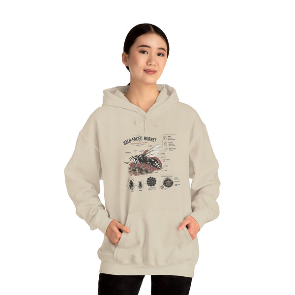 Bee Anatomy Hoodie — Bald-Faced Hornet Illustration & Diagram Sweatshirt