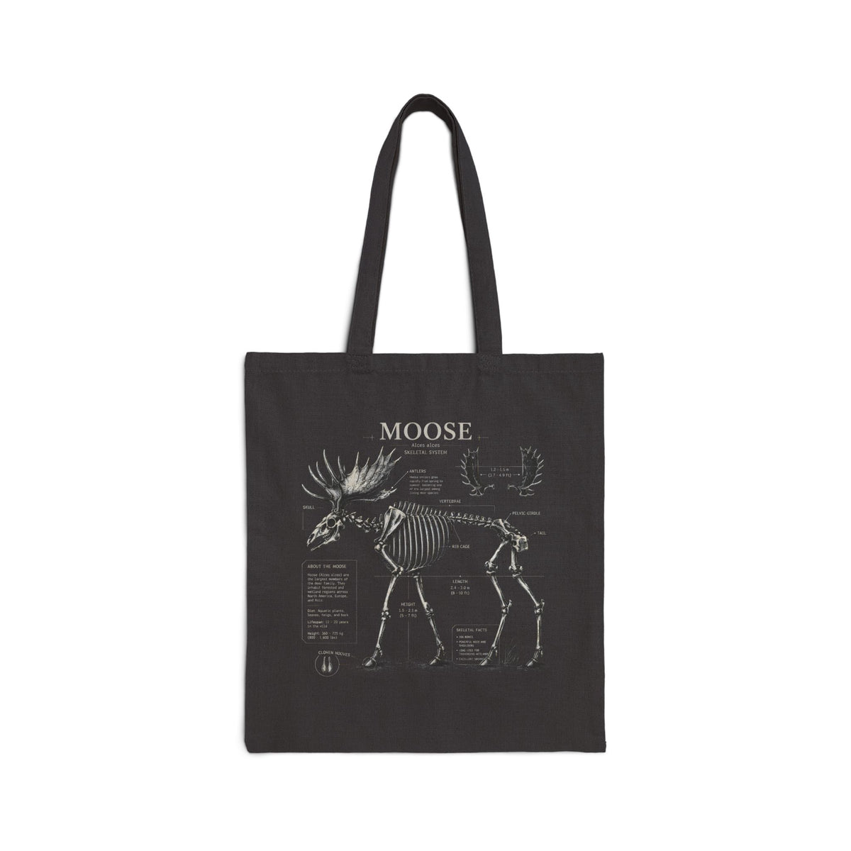Moose Anatomy Canvas Tote Bag – Vintage Skeleton Diagram Eco Grocery Tote Main image