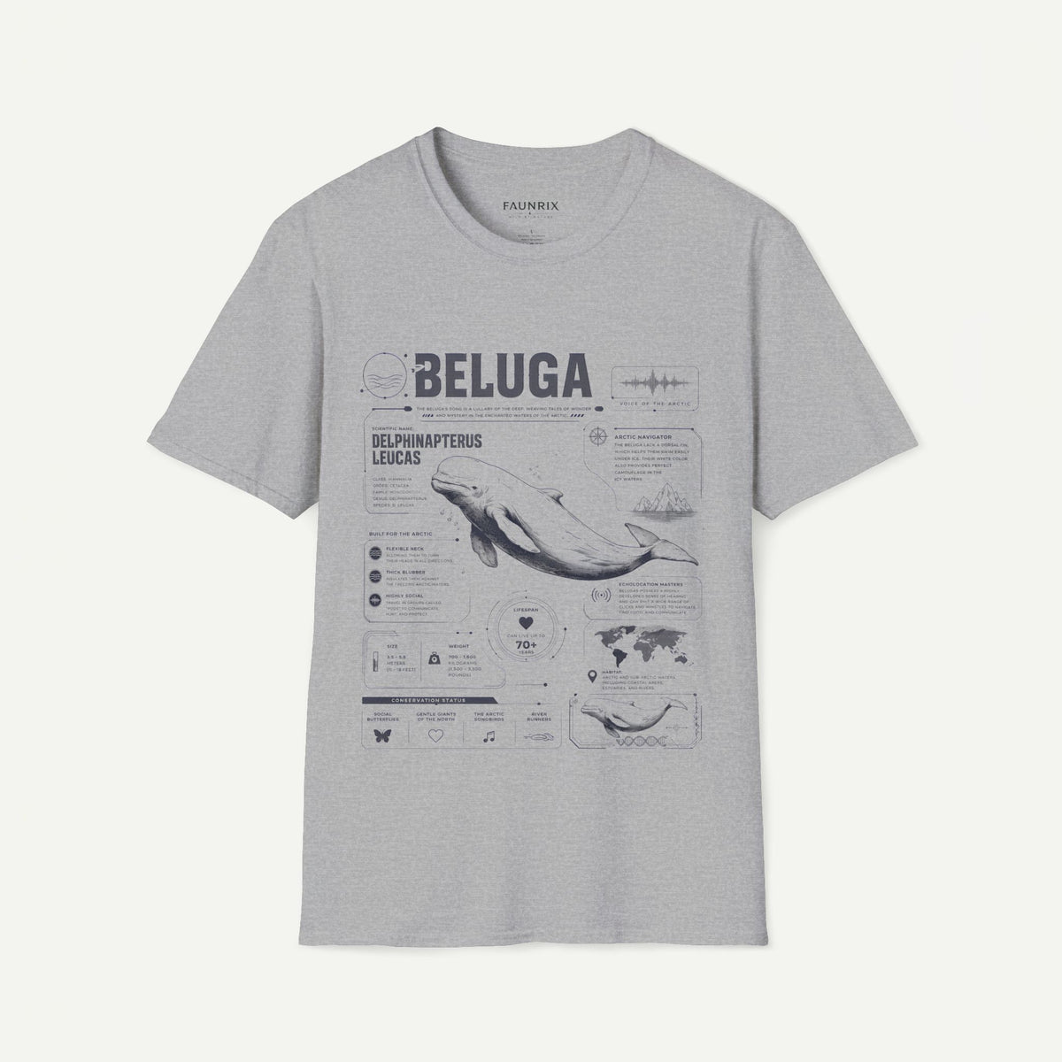 Beluga Whale Anatomy T-Shirt — Marine Life Illustration Tee Delphinapterus leucas