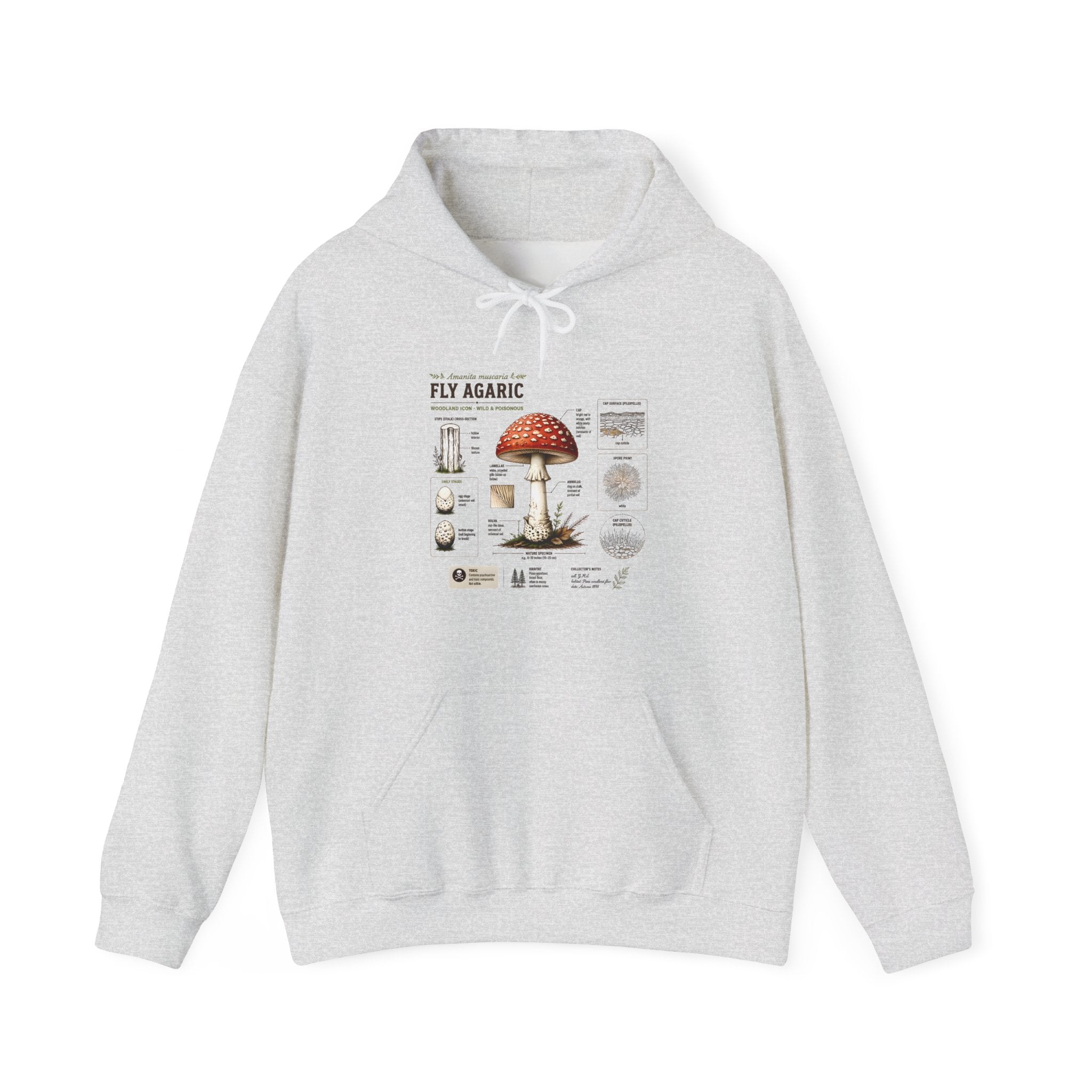Fly Agaric Mushroom Hoodie – Vintage Mycology Diagram Sweatshirt Secondary image