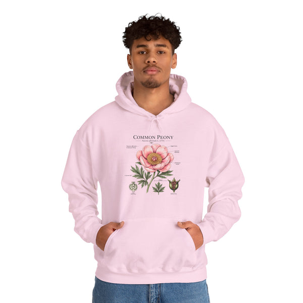 Peony Botanical Hoodie — "Common Peony" Vintage Floral Diagram Sweatshirt