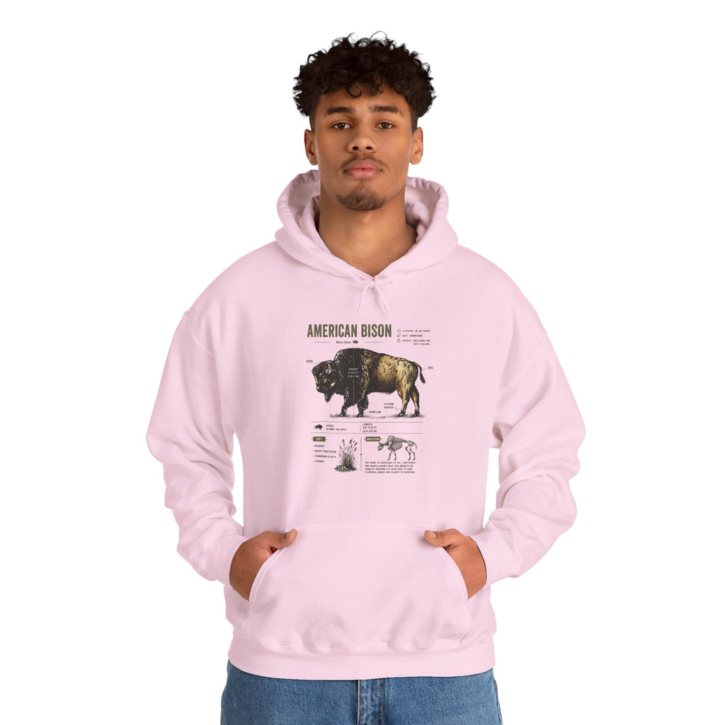 Bison Anatomy Hoodie — American Bison Illustration & Facts Sweatshirt