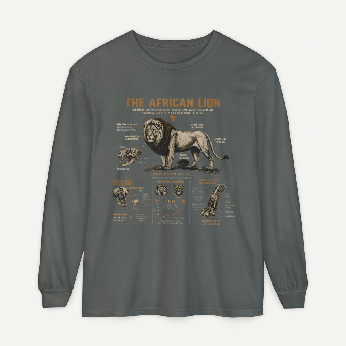 African Lion Anatomy Graphic Long Sleeve Tee