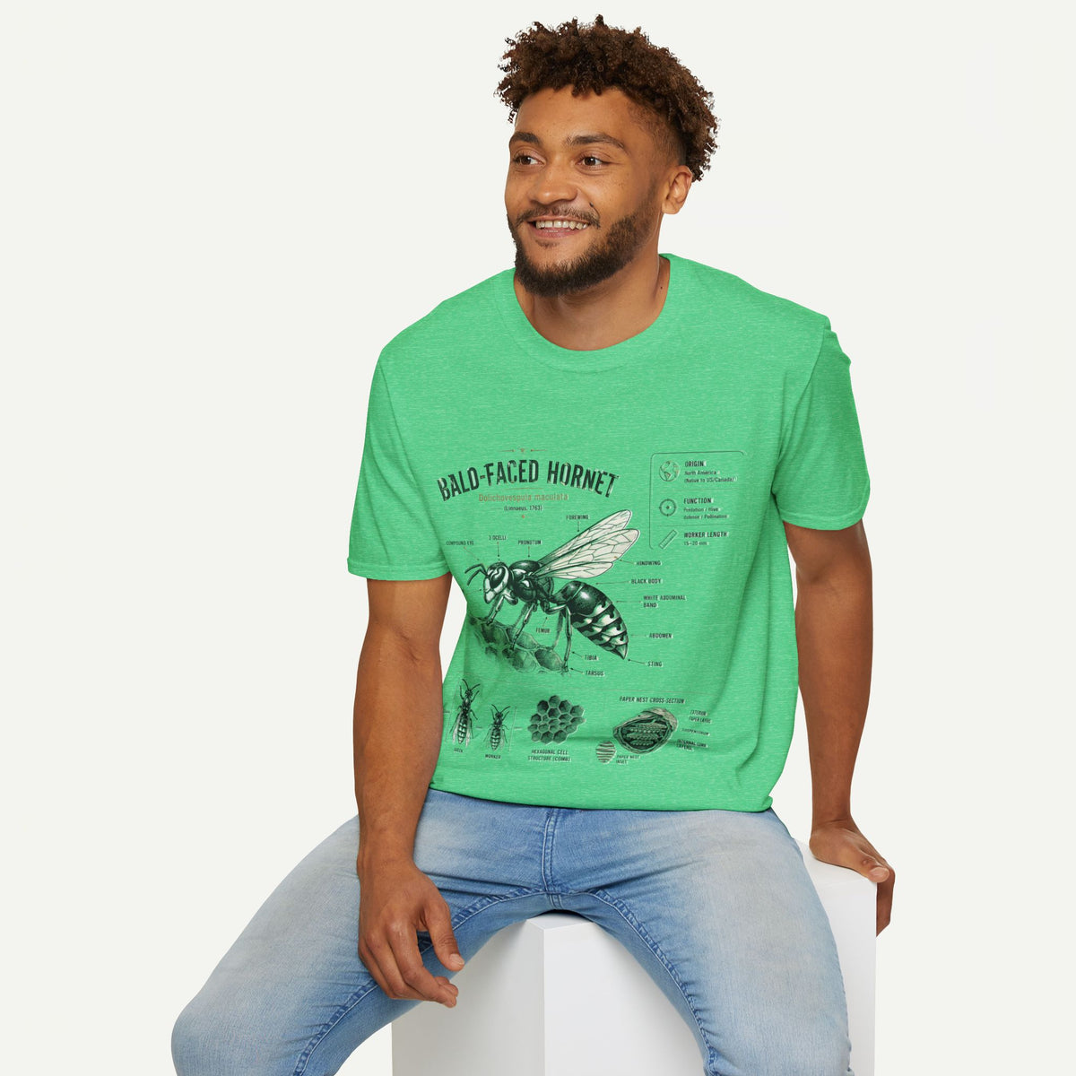 Bald-Faced Hornet Anatomy T-Shirt - Vintage Entomology Illustration