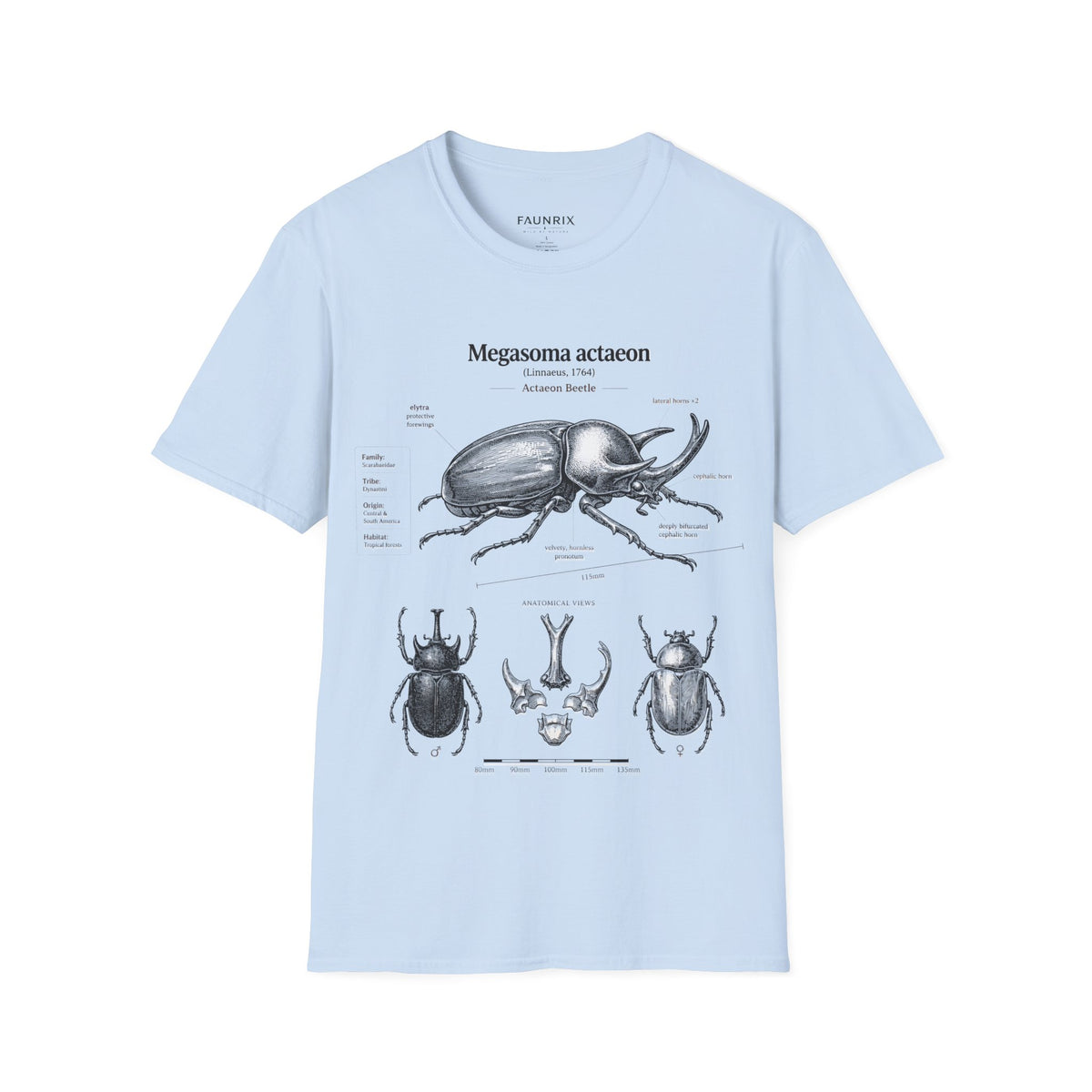 Beetle Anatomy T-Shirt — Megasoma actaeon Scientific Illustration Tee