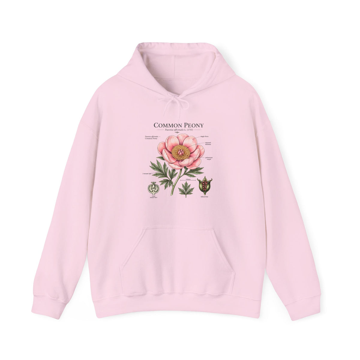 Peony Botanical Hoodie — "Common Peony" Vintage Floral Diagram Sweatshirt