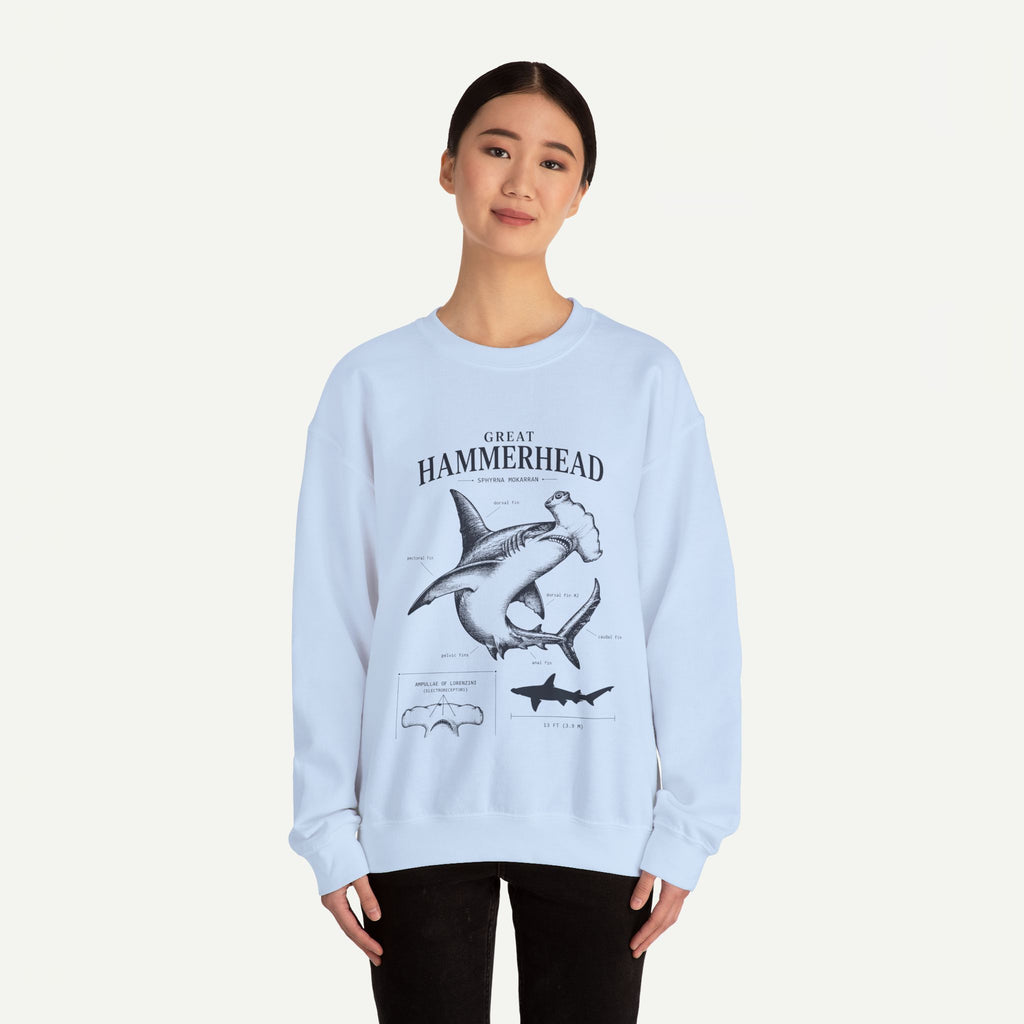 Hammerhead Shark Sweatshirt – Great Hammerhead Illustration