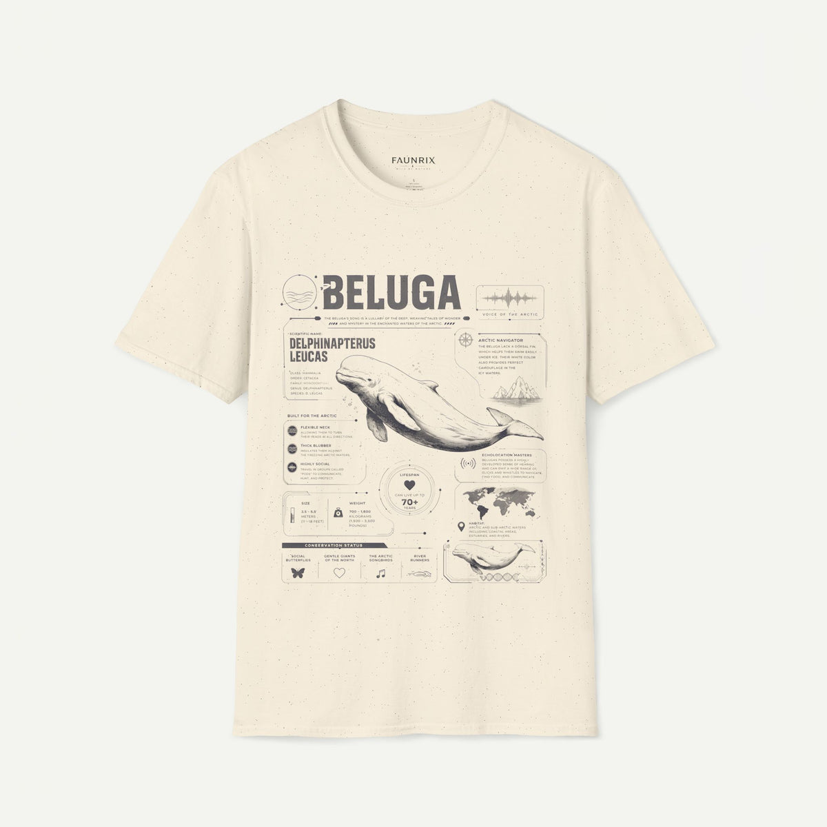 Beluga Whale Anatomy T-Shirt — Marine Life Illustration Tee Delphinapterus leucas