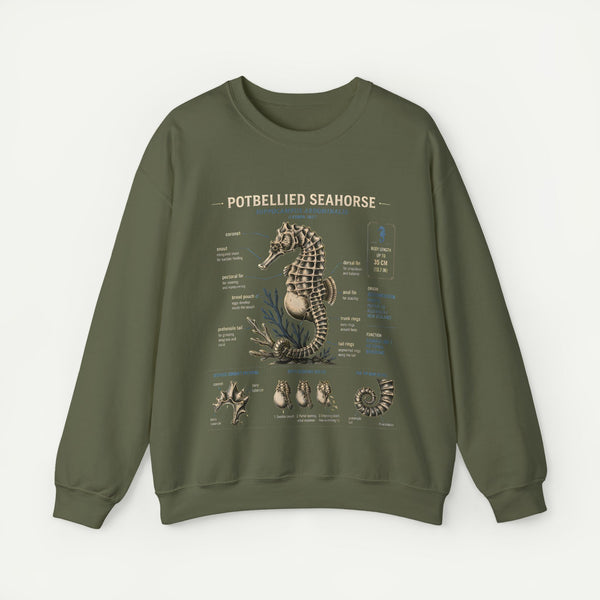Potbellied Seahorse Anatomy Sweatshirt – Marine Biology Illustration Crewneck