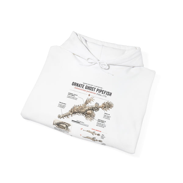 Ornate Ghost Pipefish Anatomy Hoodie — Scientific Diagram Pullover