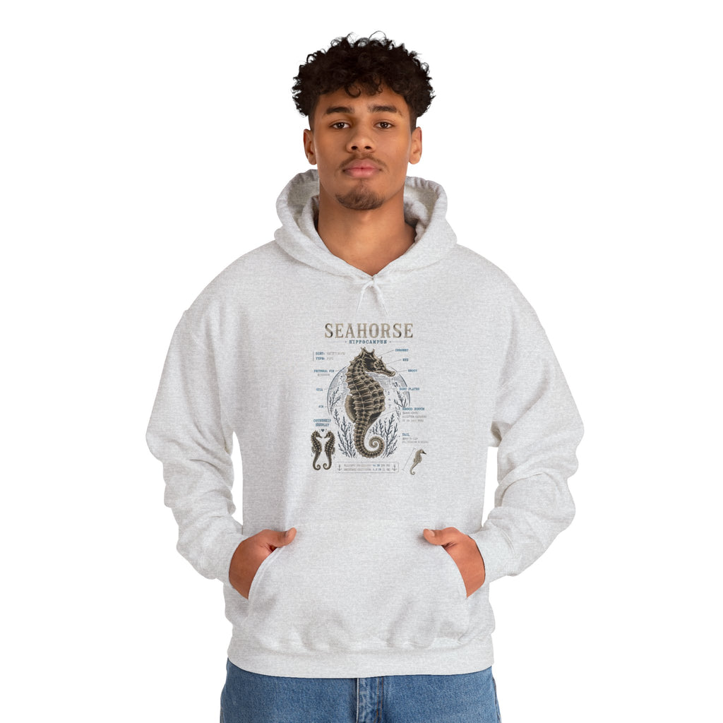 Seahorse Anatomy Hoodie — Vintage Marine Illustration Sweatshirt
