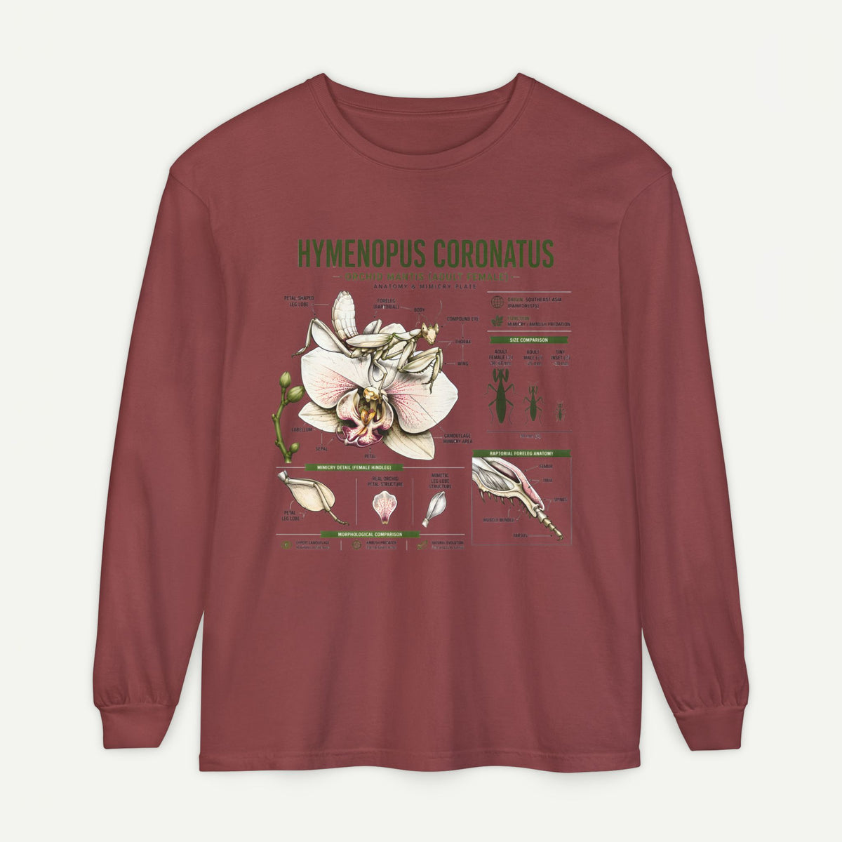 Hymenopus Coronatus Orchid Mantis Illustration Long Sleeve Tee