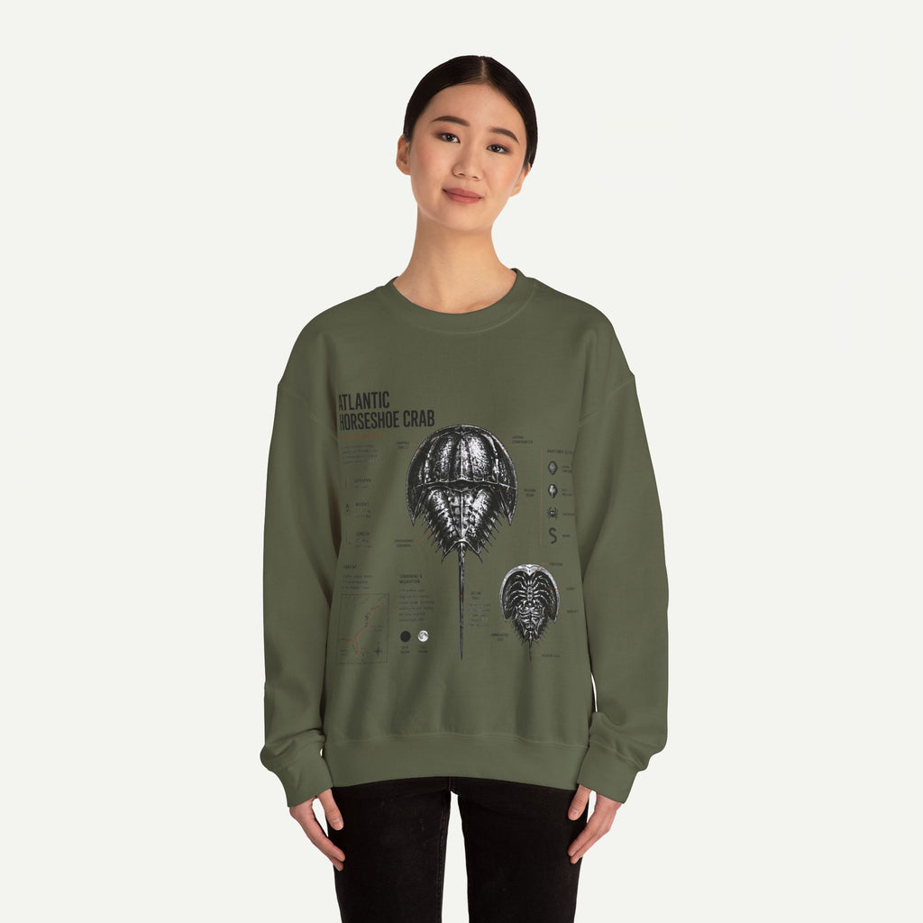 Horseshoe Crab Anatomy Sweatshirt — Atlantic Horseshoe Crab Illustration Crewneck