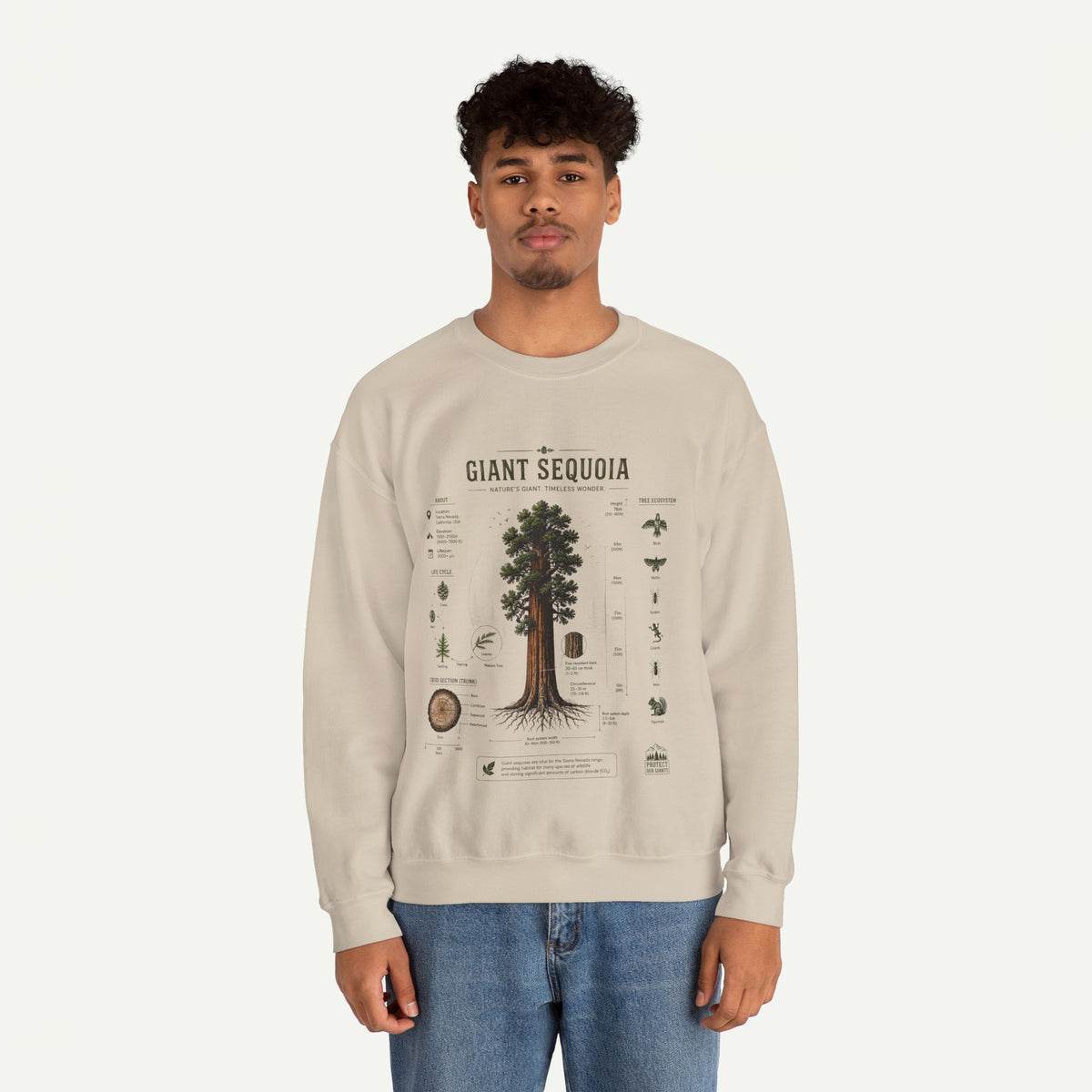 Giant Sequoia Botanical Sweatshirt