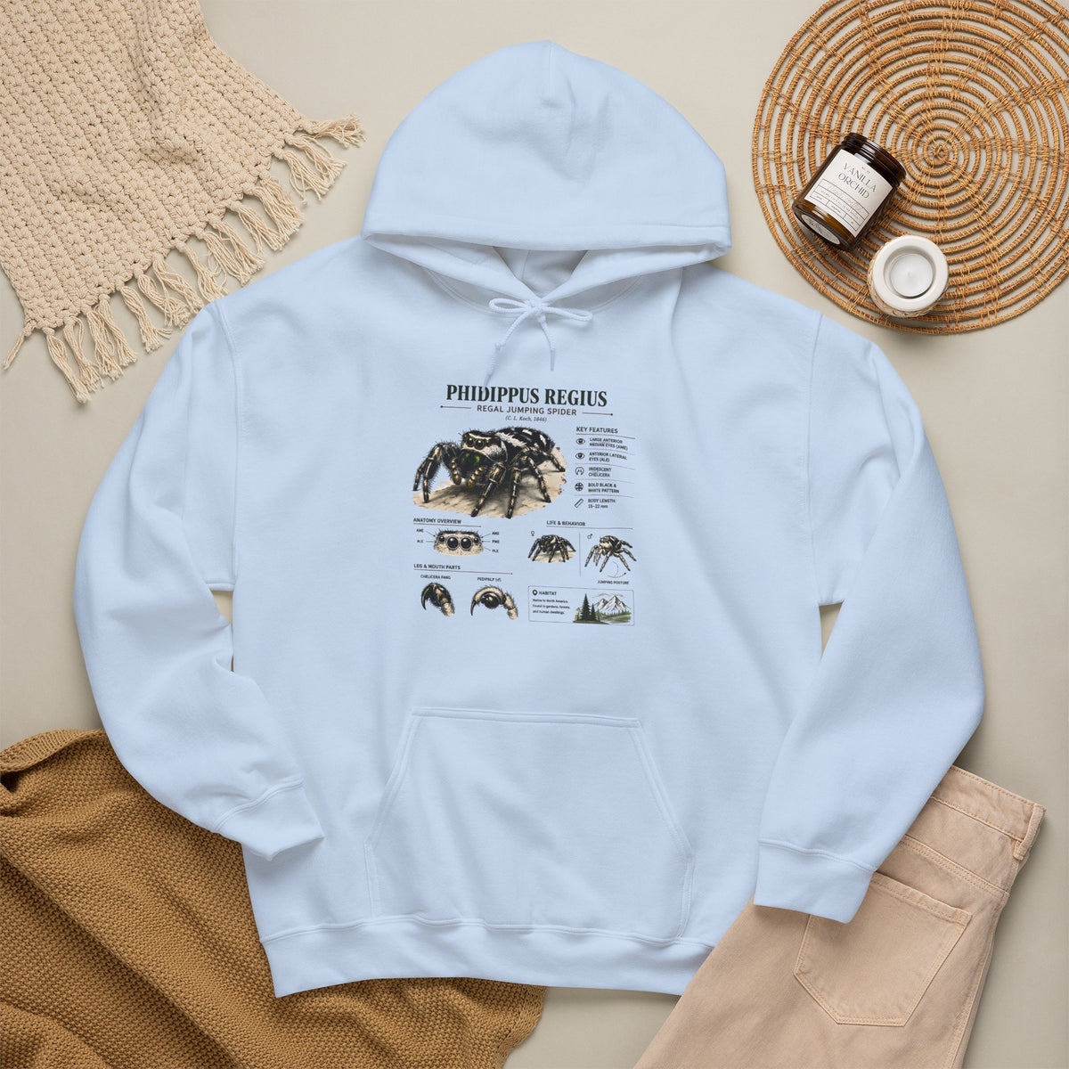 Tarantula Species Hoodie — Phidippus Regius Educational Spider Sweatshirt