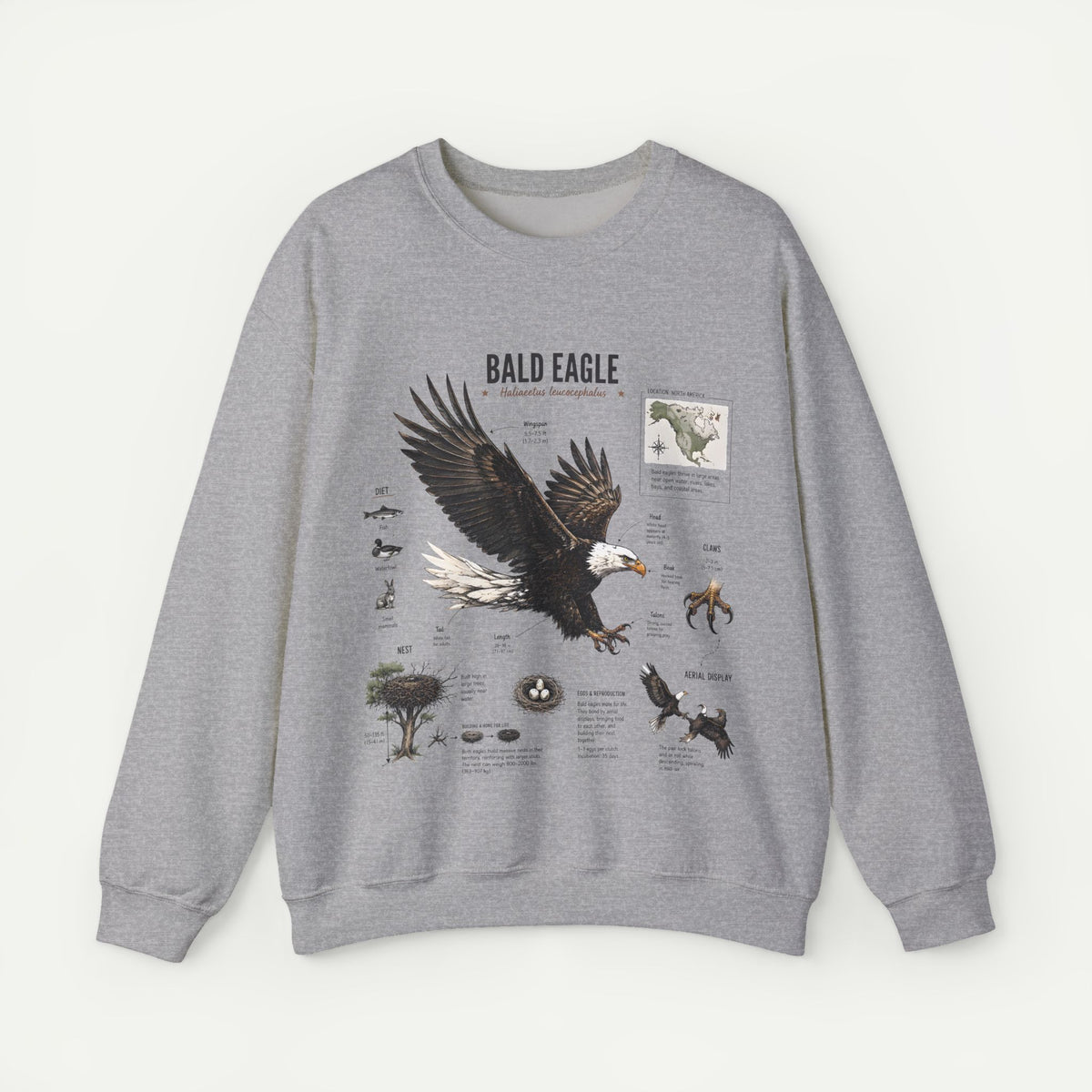 Bald Eagle Anatomy Sweatshirt