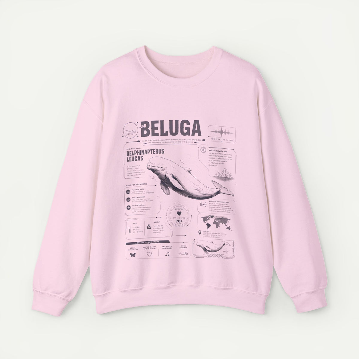 Beluga Whale Anatomy Sweatshirt