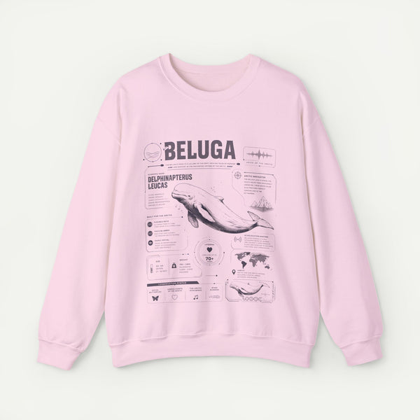 Beluga Whale Anatomy Sweatshirt