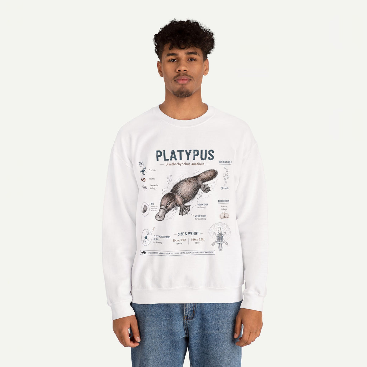 Platypus Anatomy Sweatshirt — Vintage Scientific Illustration