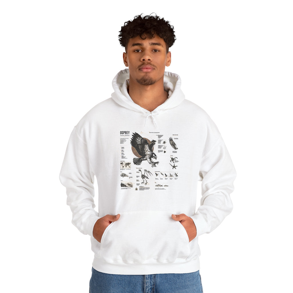 Eagle Anatomy Hoodie — Vintage Ornithology Graphic Sweatshirt