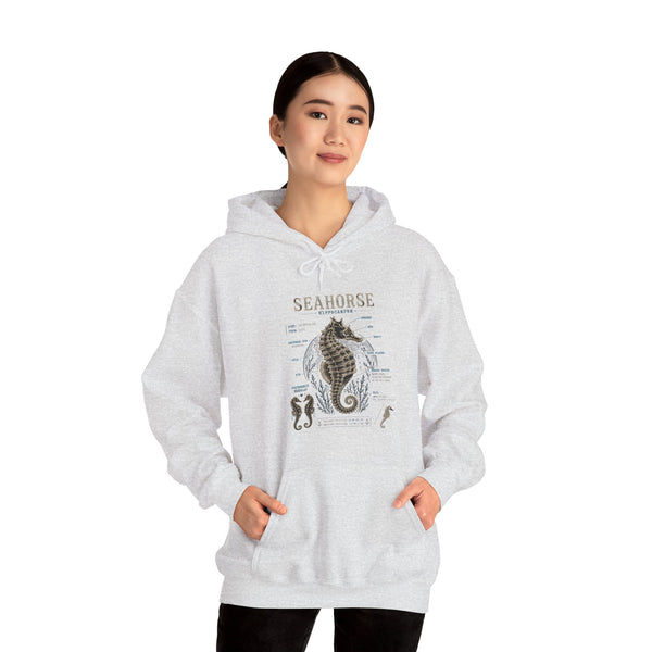 Seahorse Anatomy Hoodie — Vintage Marine Illustration Sweatshirt