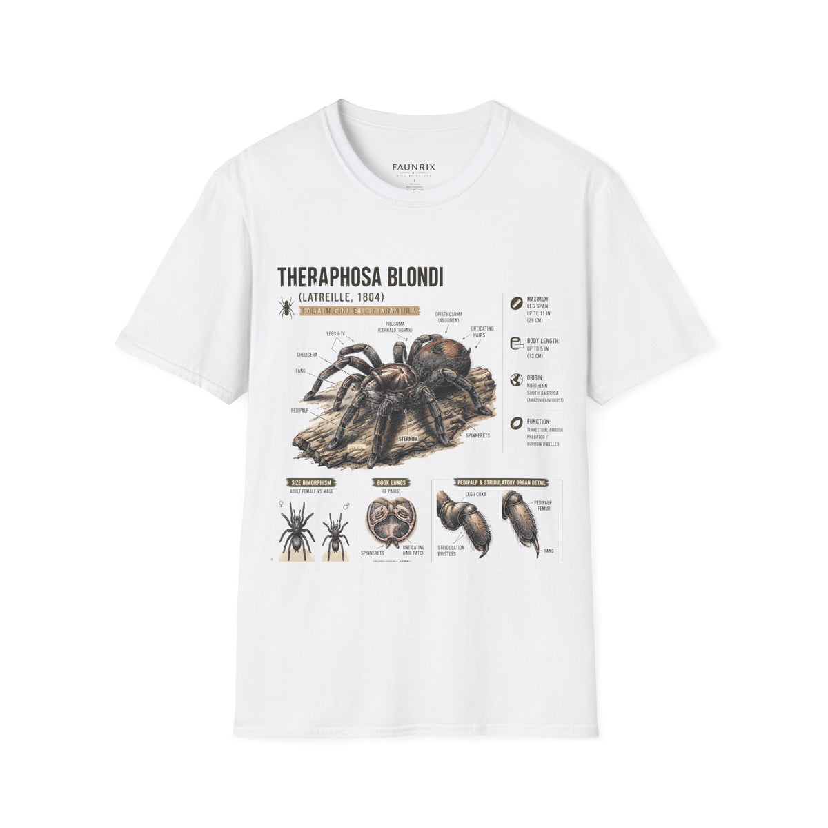 Theraphosa blondi Tarantula T-Shirt — Spider Anatomy Educational Tee