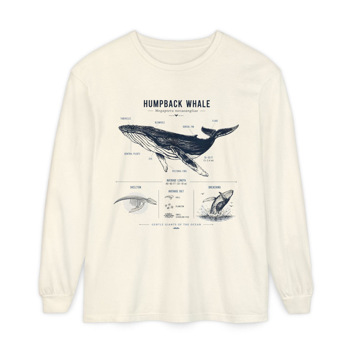 Humpback Whale Anatomy Long Sleeve Tee