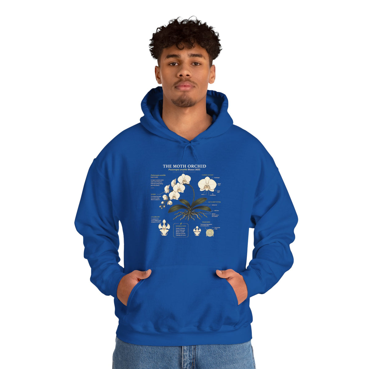 Botanical Orchid Anatomy Hoodie — Vintage Plant Illustration Sweatshirt