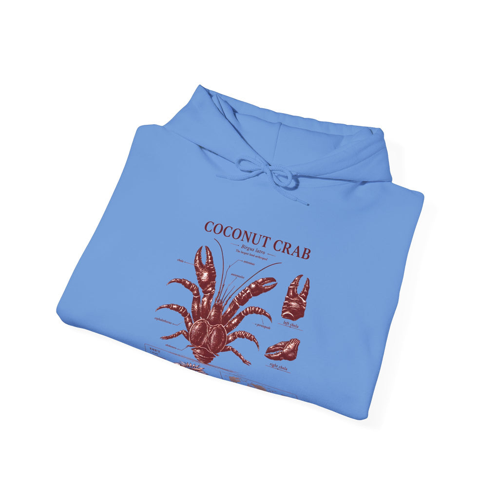 Coconut Crab Anatomy Hoodie — Vintage Botanical & Marine Study Print