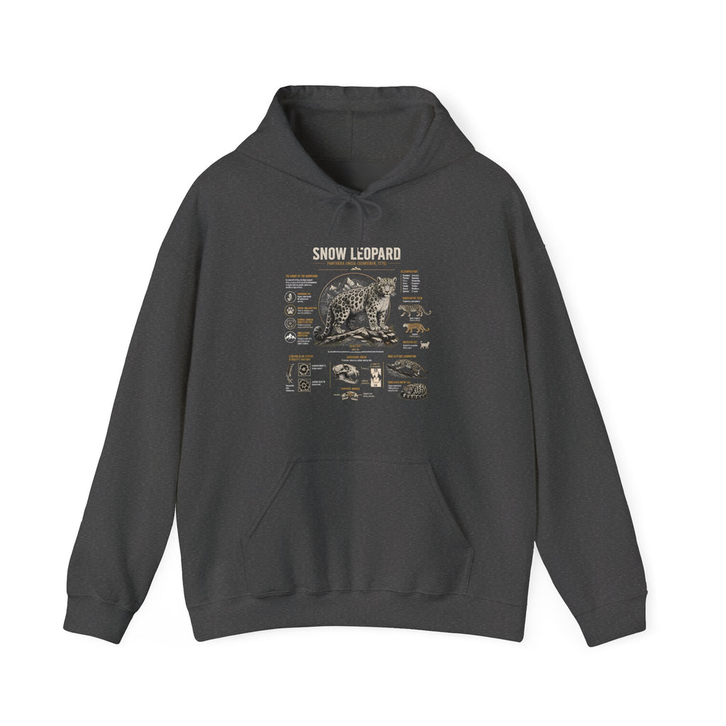 Bear Anatomy Hoodie — Vintage Wildlife Illustration Sweatshirt
