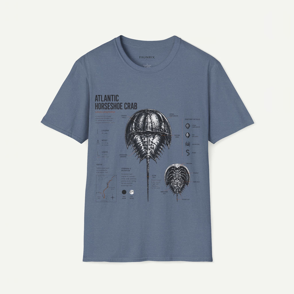 Horseshoe Crab Anatomy T-Shirt — Atlantic Horseshoe Crab Illustration