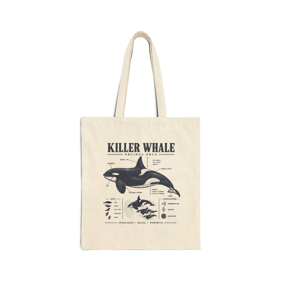 Killer Whale Anatomy Cotton Tote — Marine Biology Illustrated Canvas Bag Main image
