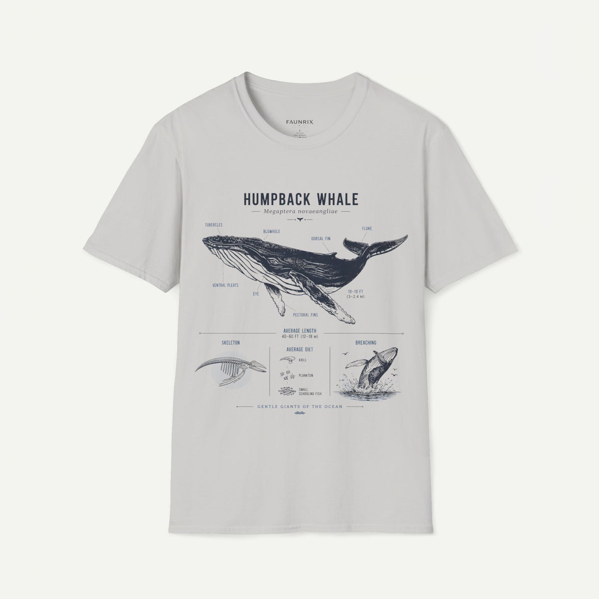 Humpback Whale Anatomy T-Shirt