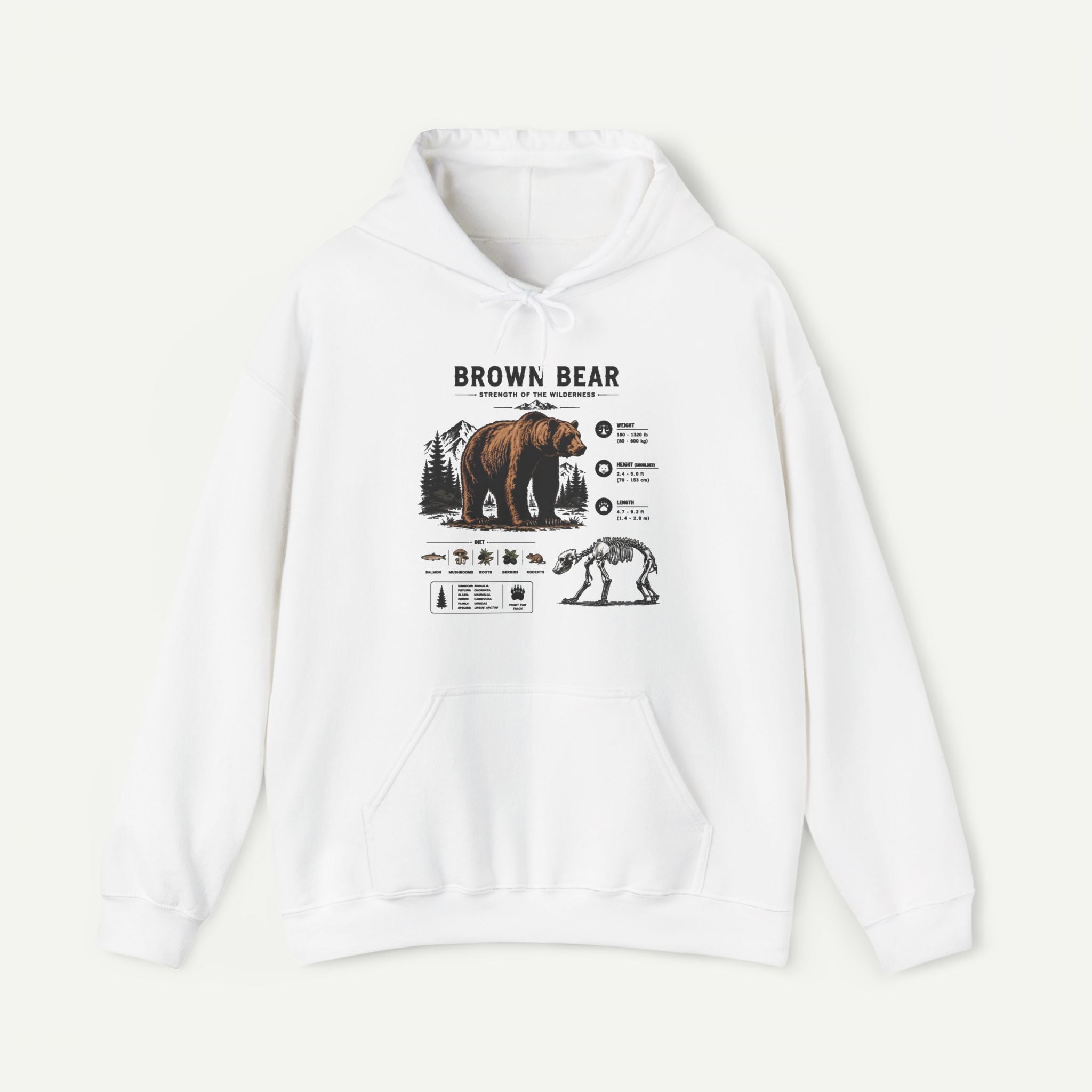 Brown Bear Anatomy Hoodie — Vintage Wildlife Graphic Sweatshirt Secondary image