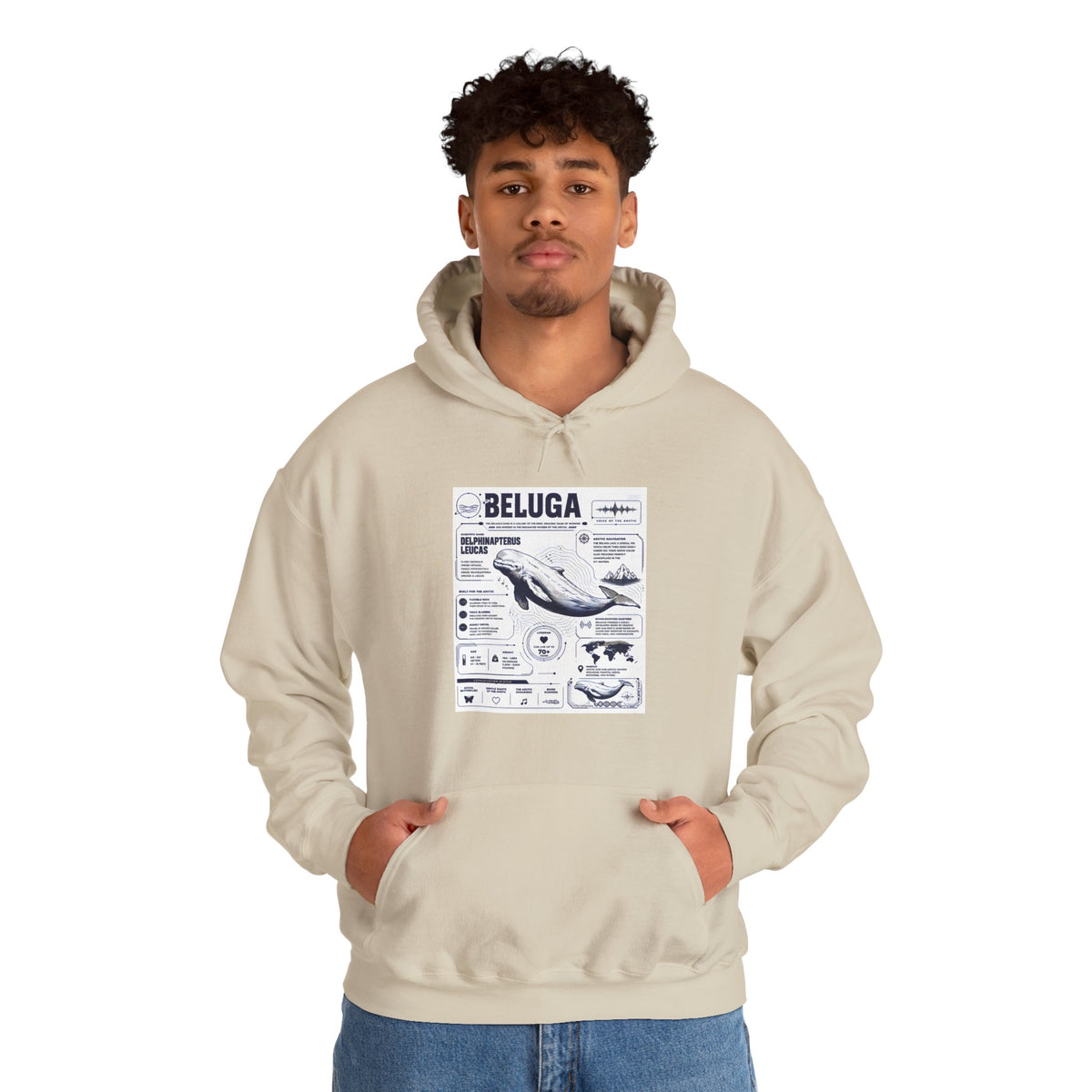 Beluga Whale Graphic Hoodie - Marine Life Diagram Sweatshirt