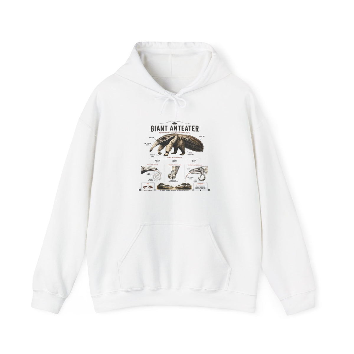 Giant Anteater Anatomy Hoodie — Illustrated Wildlife Diagram Sweatshirt