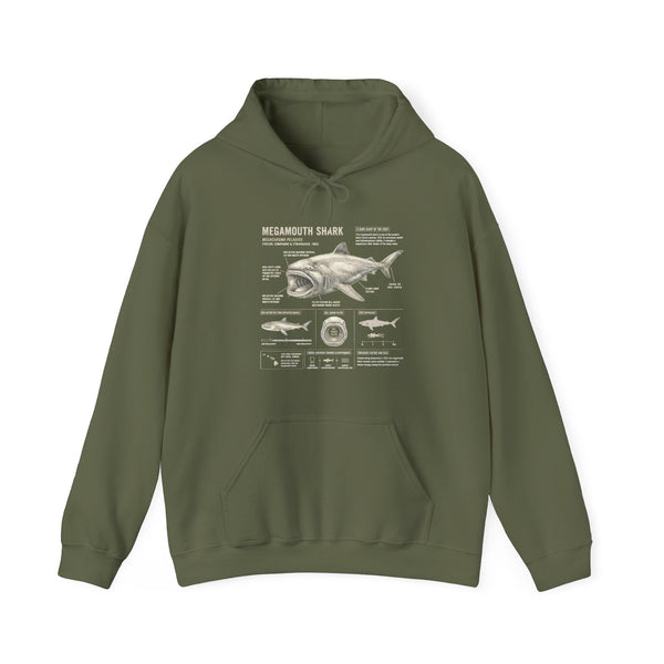 Shark Anatomy Hoodie — Vintage Megalodon Illustration Pullover