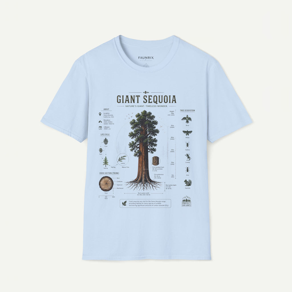 Giant Sequoia Anatomy T-Shirt — Botanical Tree Illustration Tee