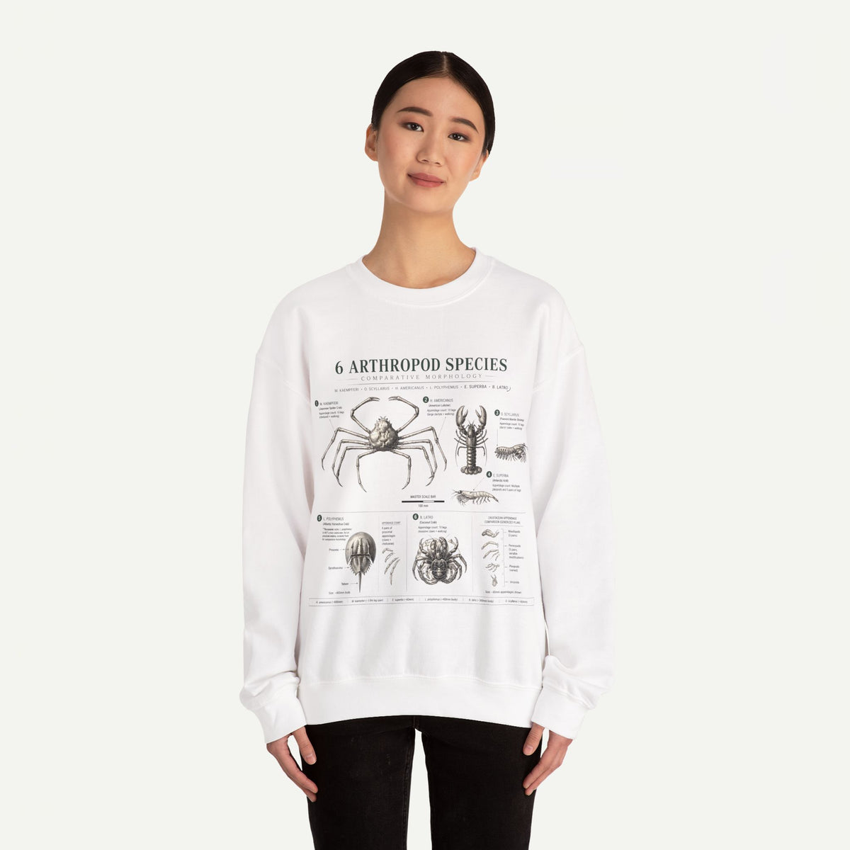 Arthropod Species Diagram Sweatshirt — Vintage Scientific Illustration Crewneck