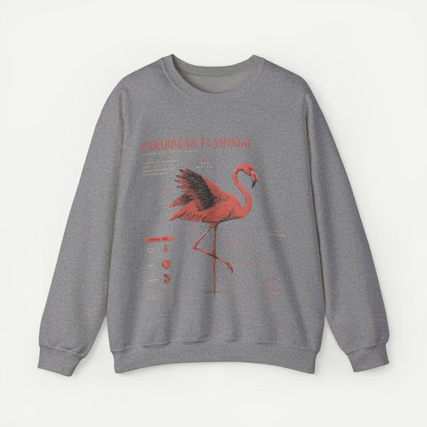 Flamingo Anatomy Field Guide Crewneck Sweatshirt