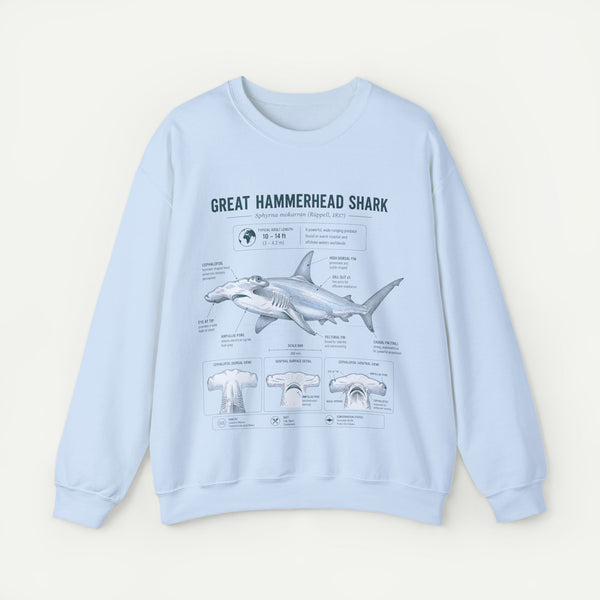 Hammerhead Shark Anatomy Sweatshirt — Great Hammerhead Shark Illustration