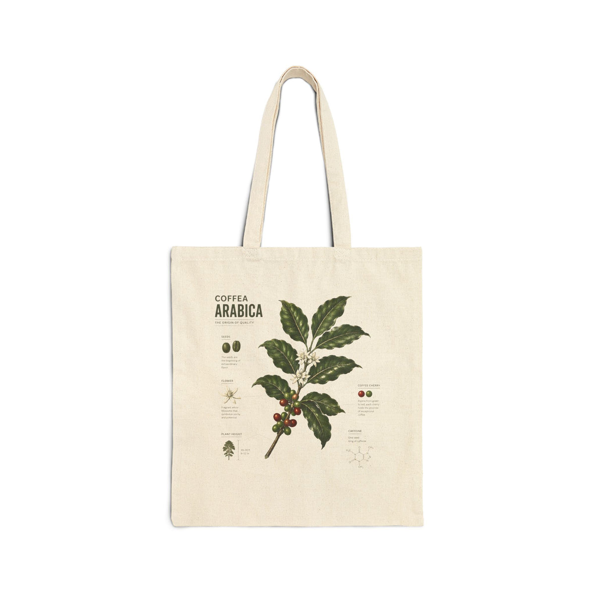 Tote Bag - Vintage Coffee Arabica Botanical Canvas Tote Main image