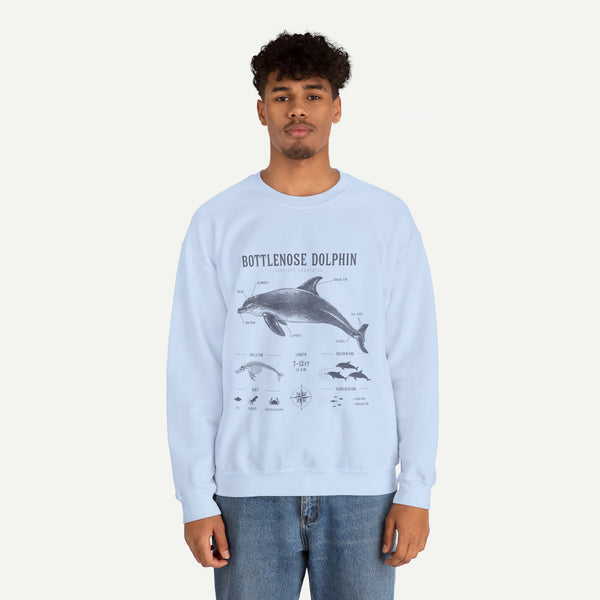 Bottlenose Dolphin Sweatshirt – Marine Life Educational Graphic