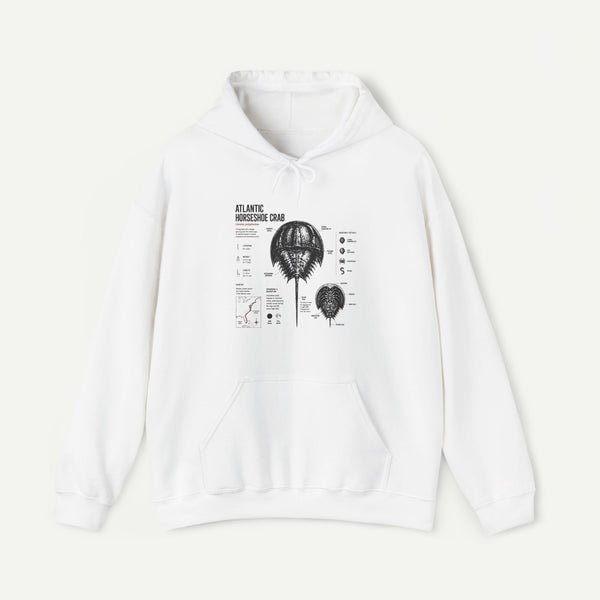 Horseshoe Crab Anatomy Hoodies