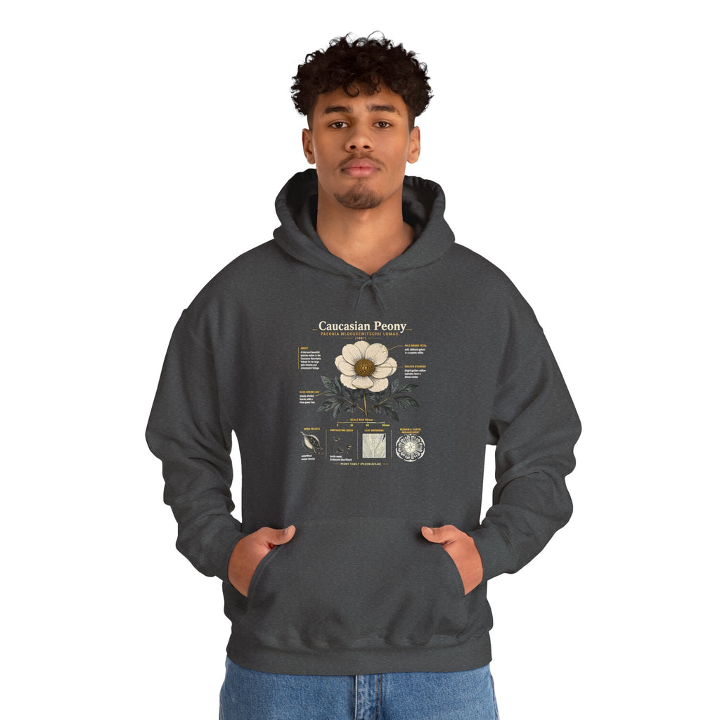 Magnolia Botany Hoodie — 'Caucasian Peony' Floral Diagram Hooded Sweatshirt