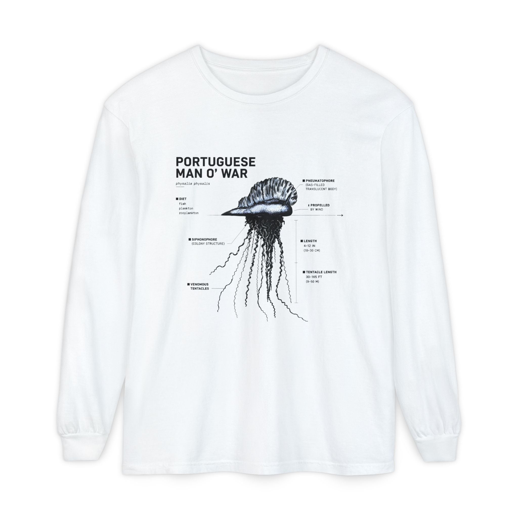 Portuguese Man O' War Anatomy Long Sleeve Tee Secondary image