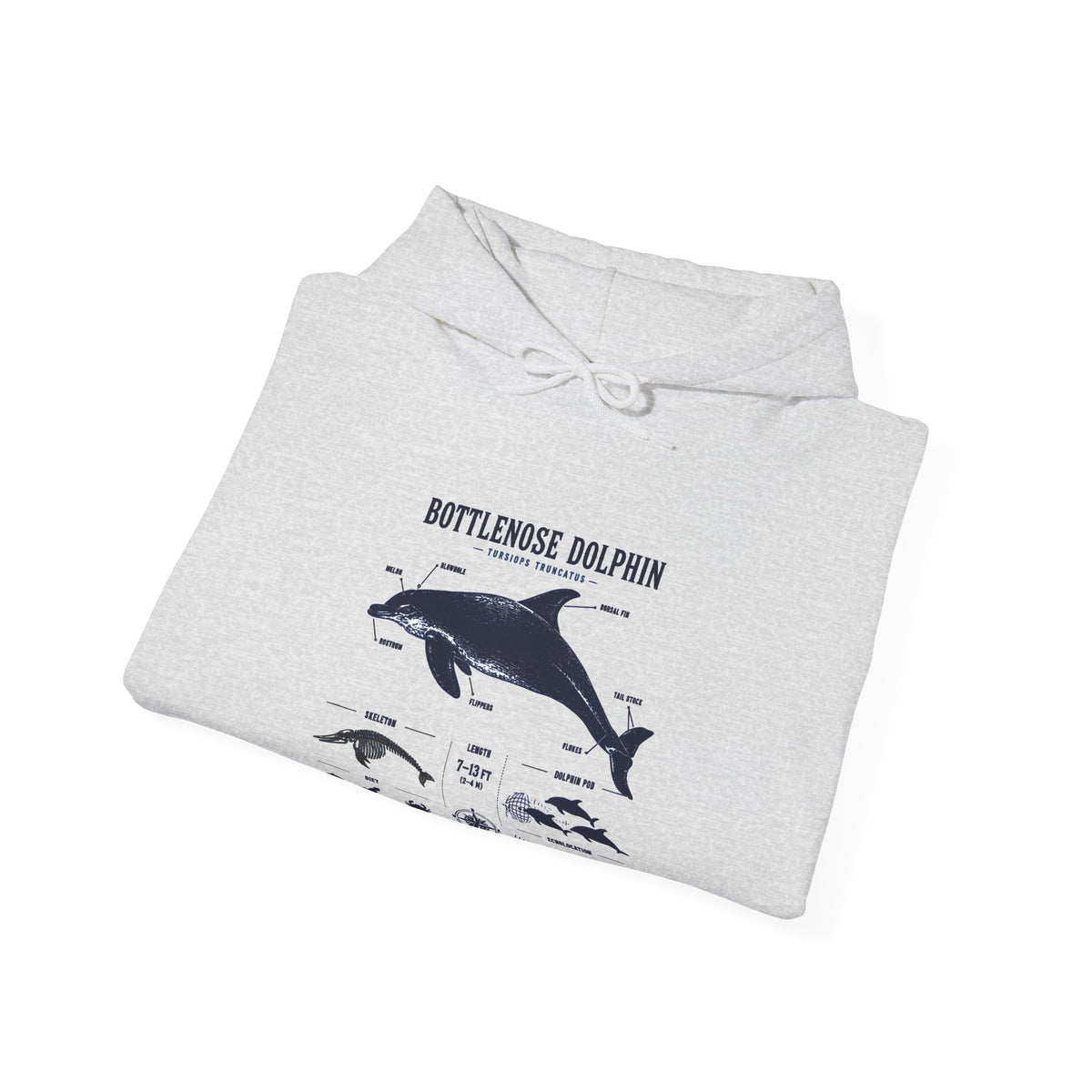 Bottlenose Dolphin Diagram Hoodie – Marine Life Anatomy Sweatshirt