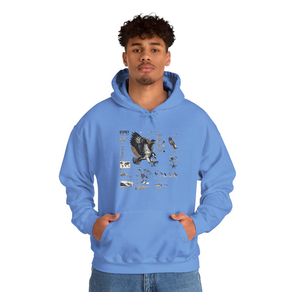 Eagle Anatomy Hoodie — Vintage Ornithology Graphic Sweatshirt